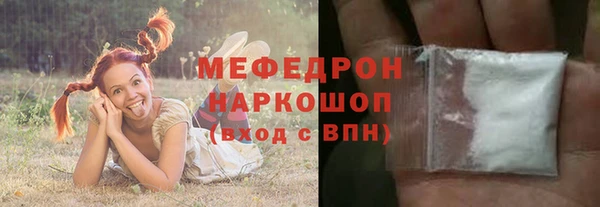 индика Лагань