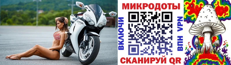 Галлюциногенные грибы Cubensis  Купить закладки  Павловская 